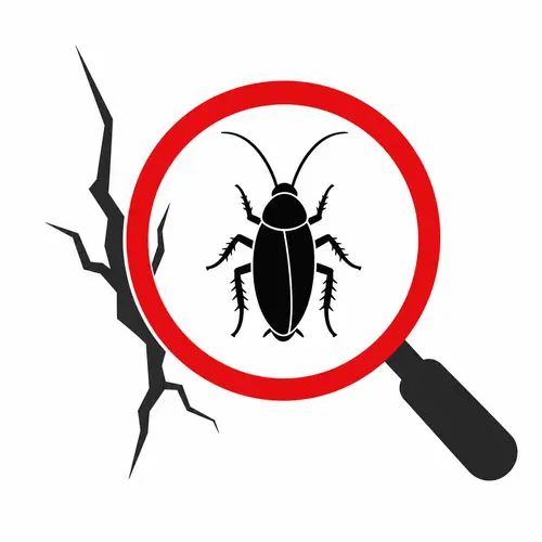 Identificação de focos de baratas